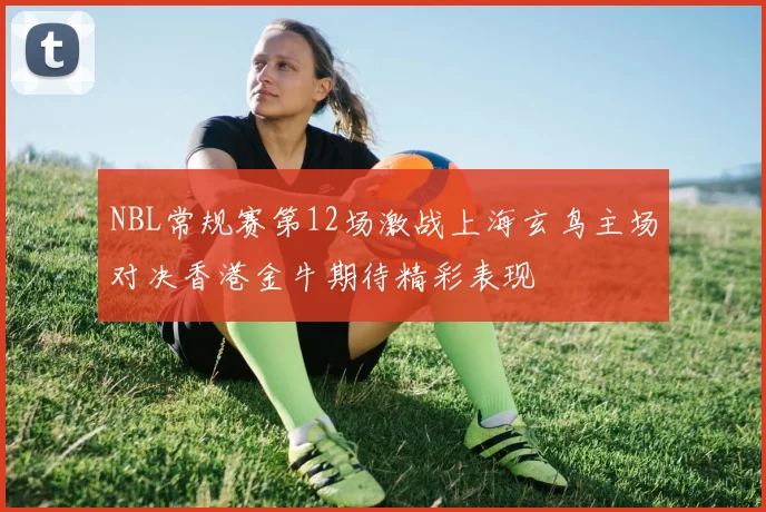NBL常规赛第12场激战上海玄鸟主场对决香港金牛期待精彩表现