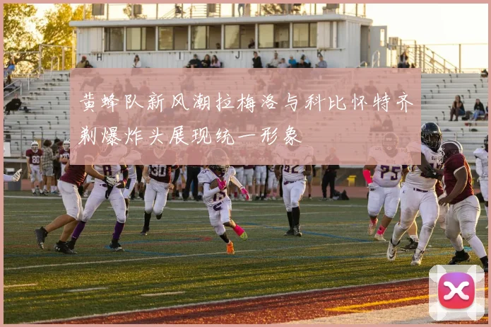 黄蜂队新风潮拉梅洛与科比怀特齐剃爆炸头展现统一形象