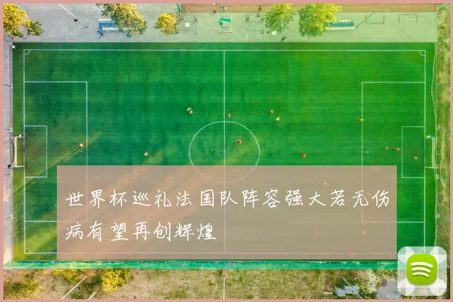 世界杯巡礼法国队阵容强大若无伤病有望再创辉煌